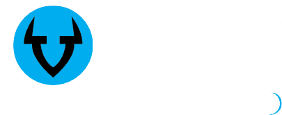 קבוצת שטיר, תערוכות וכנסים בינלאומיים