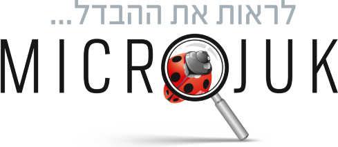 מיקרוג'וק